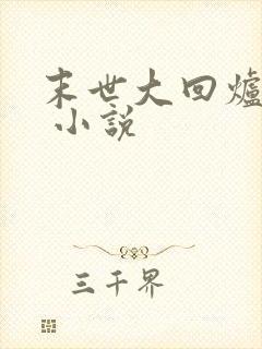 末世大回炉楚涵 小说