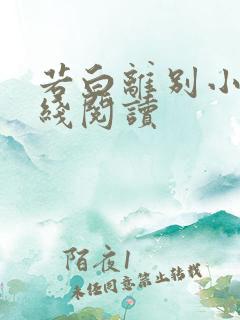 若白离别小说在线阅读