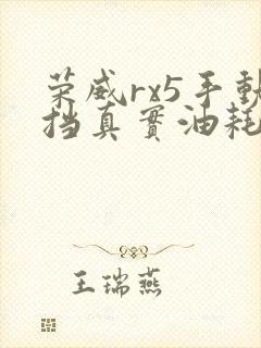 荣威rx5手动挡真实油耗多少