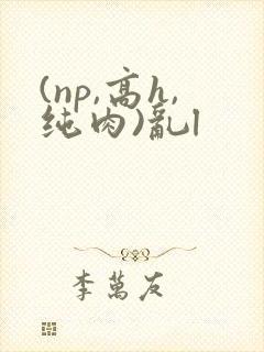(np,高h,纯肉)乱l