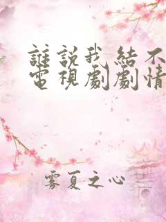 谁说我结不了婚电视剧剧情介绍