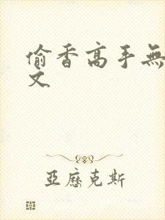 偷香高手无删全文