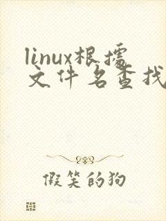 linux根据文件名查找文件