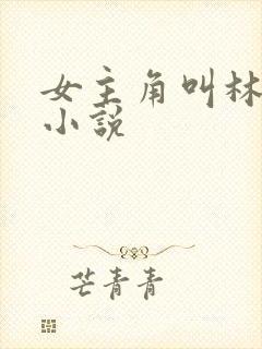 女主角叫林舒的小说