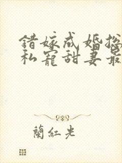 错嫁成婚总裁的私宠甜妻最新