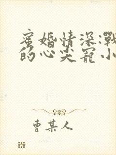 蜜婚情深:战少的心尖宠小说