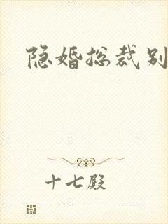 隐婚总裁别太坏