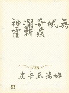 神澜奇域无双珠霍斩疾