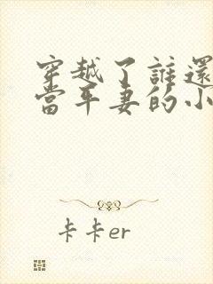 穿越了谁还稀罕当平妻的小说