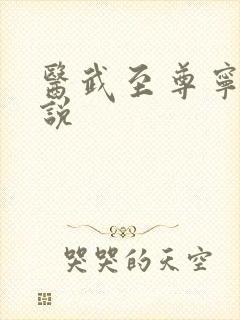 医武至尊宁天小说