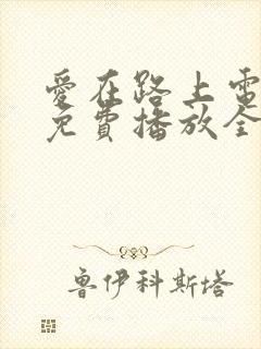 爱在路上电视剧免费播放全集