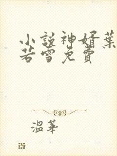 小说神婿叶凡唐若雪免费