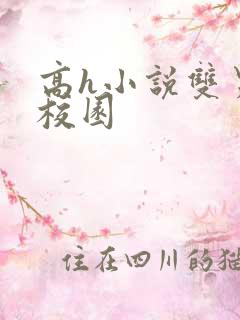 高h小说双男主校园