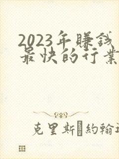 2023年赚钱最快的行业