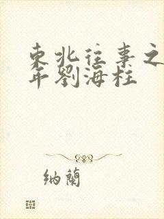 东北往事之二十年刘海柱