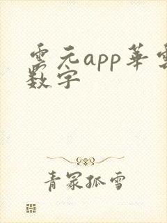 云元app华云数字