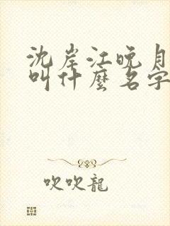 沈岸江晚月小说叫什么名字