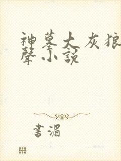 神墓大灰狼版有声小说