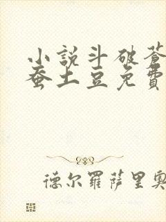 小说斗破苍穹天蚕土豆免费