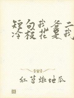 短句我爸二婚高冷校花是我妹