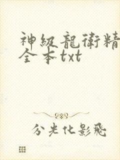 神级龙卫精校版全本txt