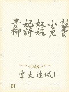 贵妃奴小说by柳诗婉免费阅读笔趣阁