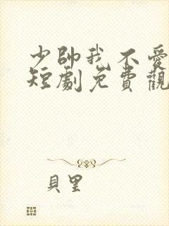 少帅我不爱你了短剧免费观看全集