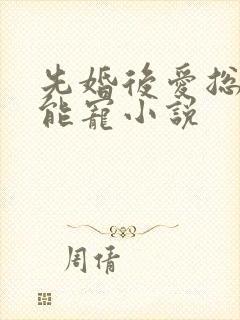 先婚后爱总裁太能宠小说