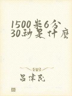 1500米6分30秒是什么水平