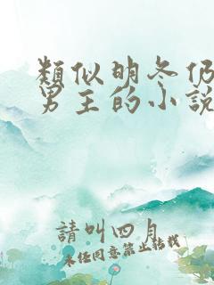 类似明冬仍有雪男主的小说