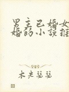 男主已婚女主未婚的小说推荐