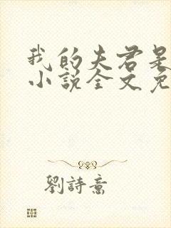 我的夫君是断袖小说全文免费阅读下载