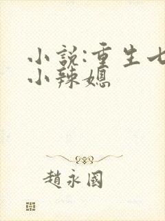 小说:重生七零小辣媳