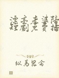 漂亮老婆陪过年短剧免费播放