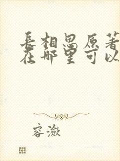 长相思原著小说在哪里可以看