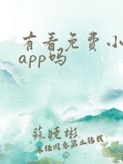 有看免费小说的app吗