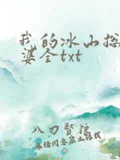 我的冰山总裁老婆全txt
