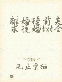 离婚后前夫哭着求复婚txt全本