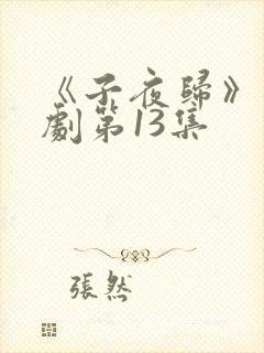 《子夜归》电视剧第13集