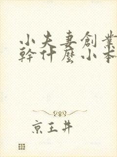 小夫妻创业适合干什么小本生意