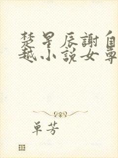 楚星辰谢自清穿越小说女尊免费阅读