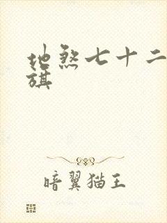 地煞七十二变书旗