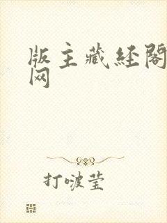 版主藏经阁小说网