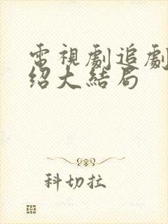 电视剧追剧情介绍大结局