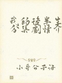 我的后半生剧情分集剧情介绍