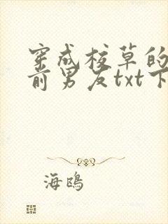 穿成校草的炮灰前男友txt下载