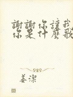 谢谢你让我遇见你是什么歌名的歌词