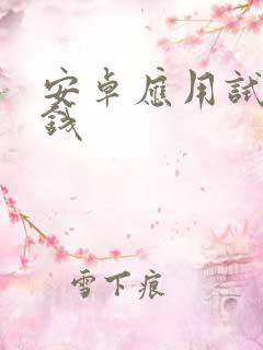 安卓应用试玩赚钱