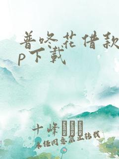 普咚花借款app下载