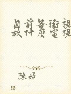 目前各卫视台播放什么电视剧